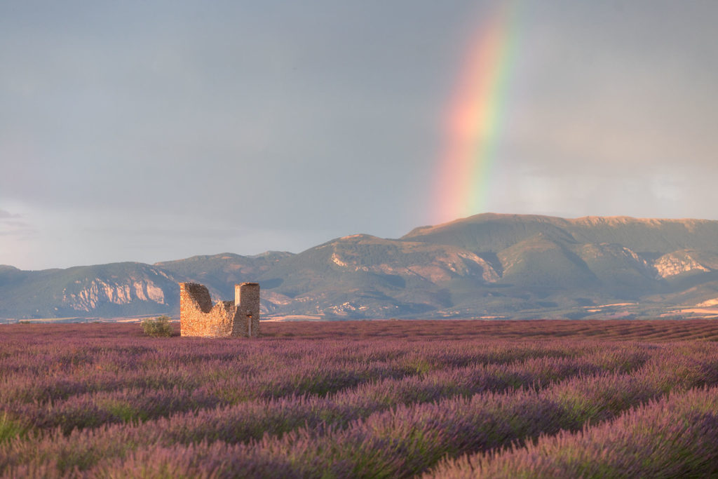 le plateau de Valensole dans les Alpes de Haute-Provence