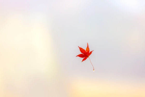 automne au japon