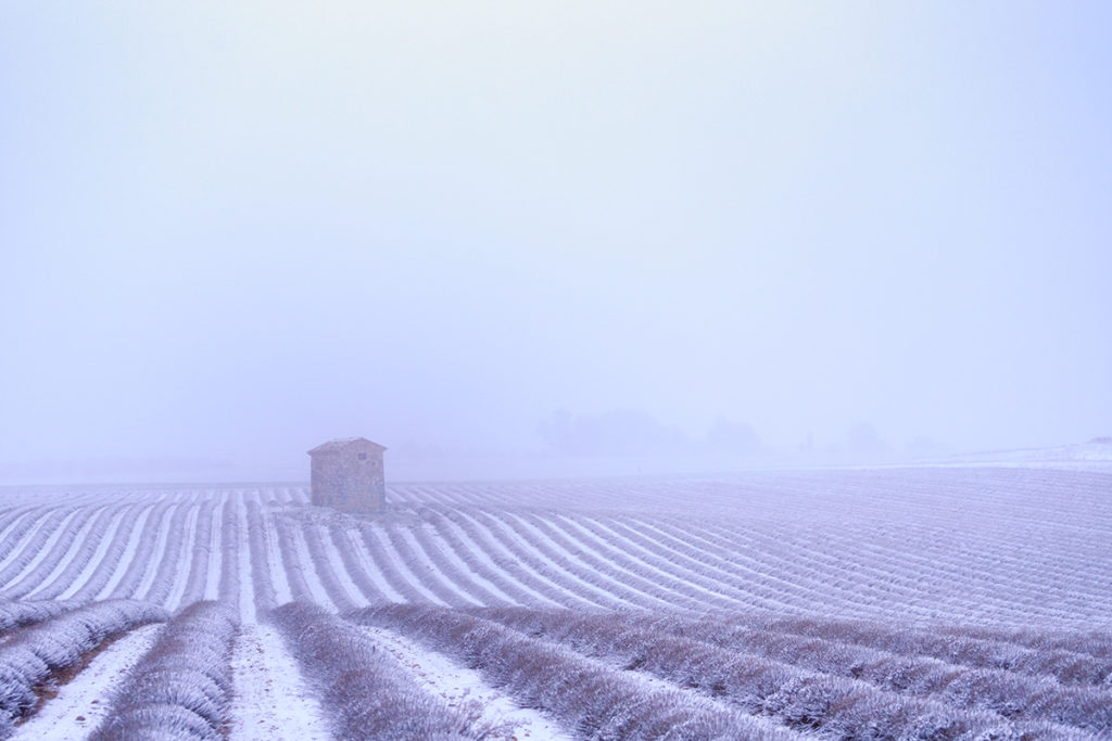 Le Parc Naturel Régional du Verdon sous la neige