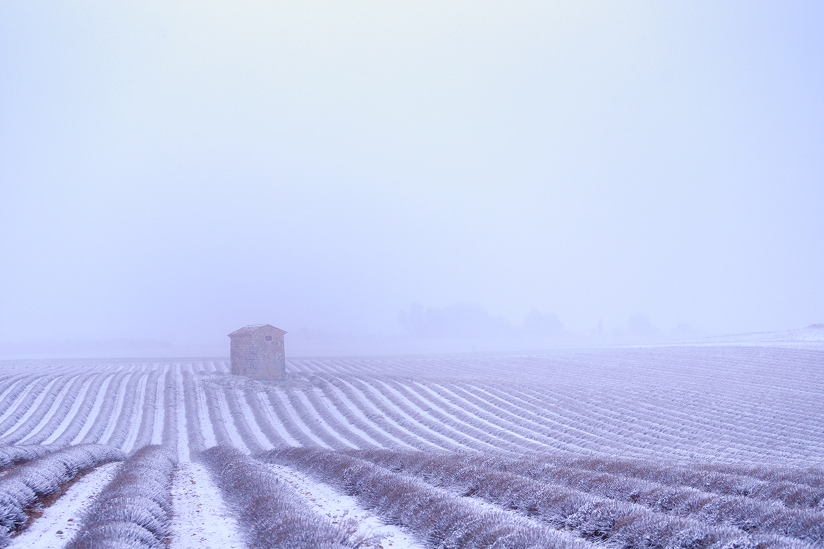 Le Parc Naturel Régional du Verdon sous la neige