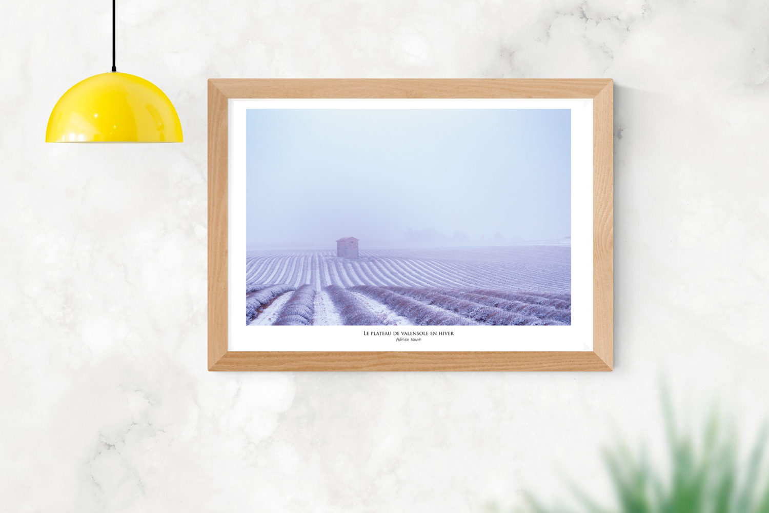 Affiche "Le Plateau de Valensole en hiver"