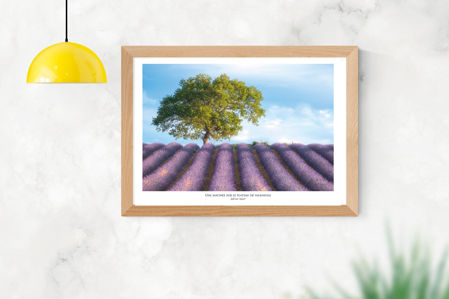 Affiche "Une matinée sur le Plateau de Valensole"