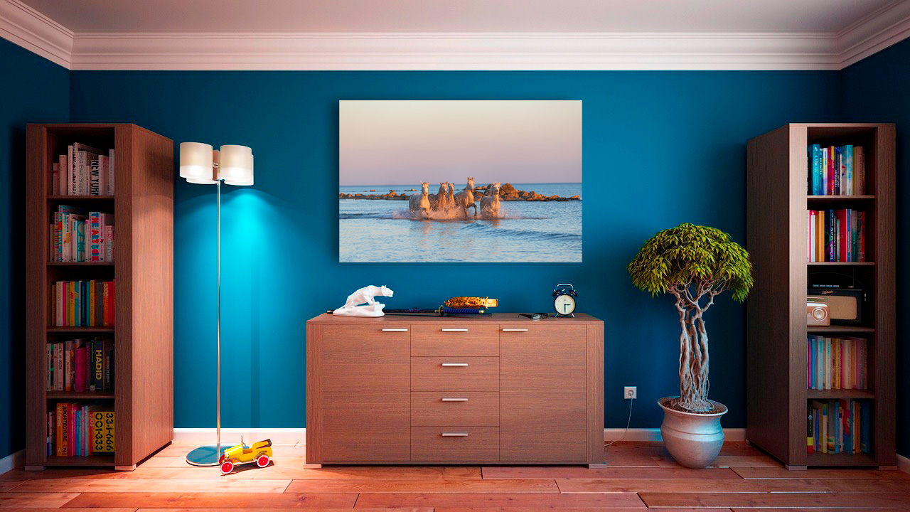 Camargue Sauvage