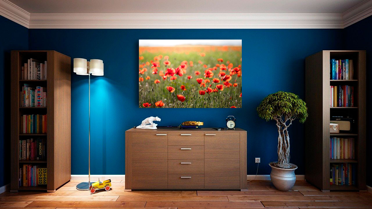 Danse de coquelicots