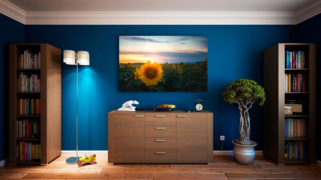 Tournesol